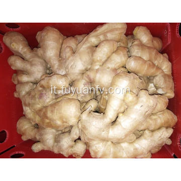 Ginger 2018 New Crop essiccato all&#39;aria